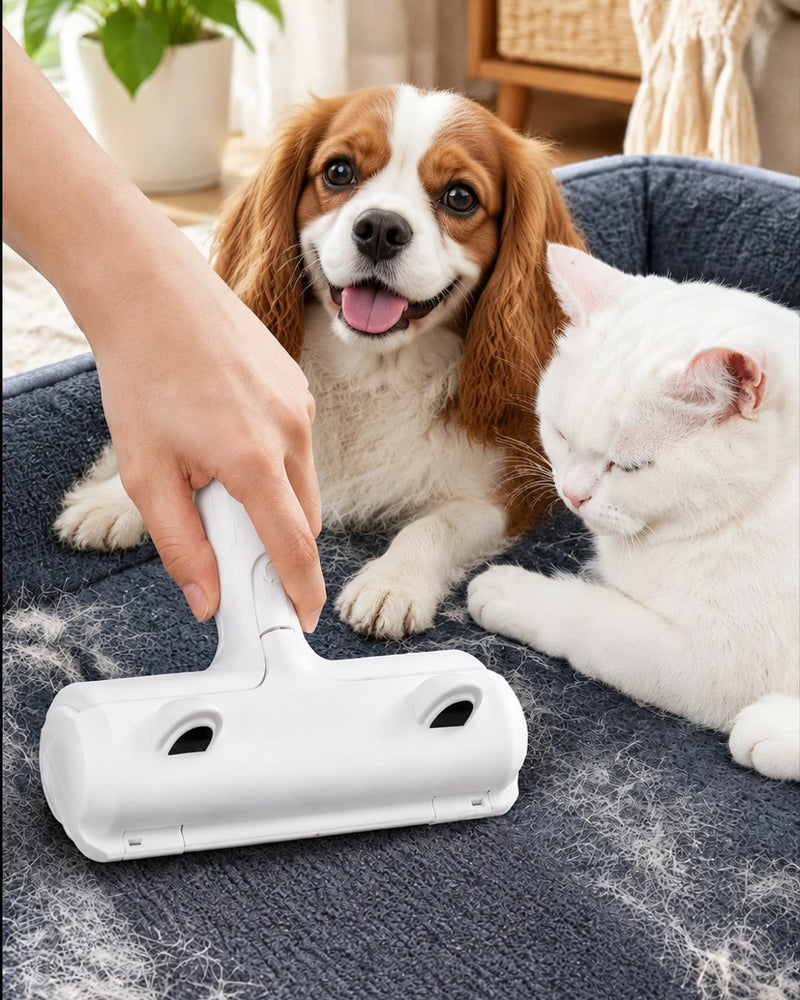 Rolling RevoFur over a pet bed covered in pet hair, next to a dog and a white cat